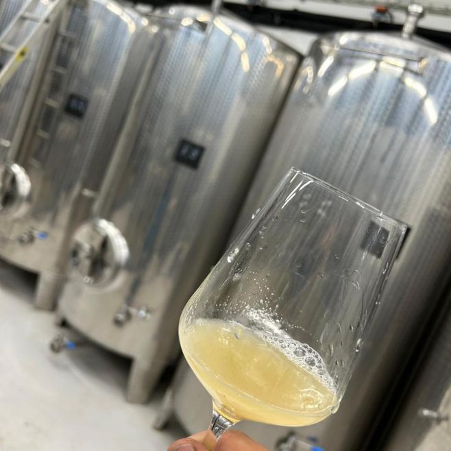 Tak a letošní vinobraní je zdárně u konce 🚜🍇